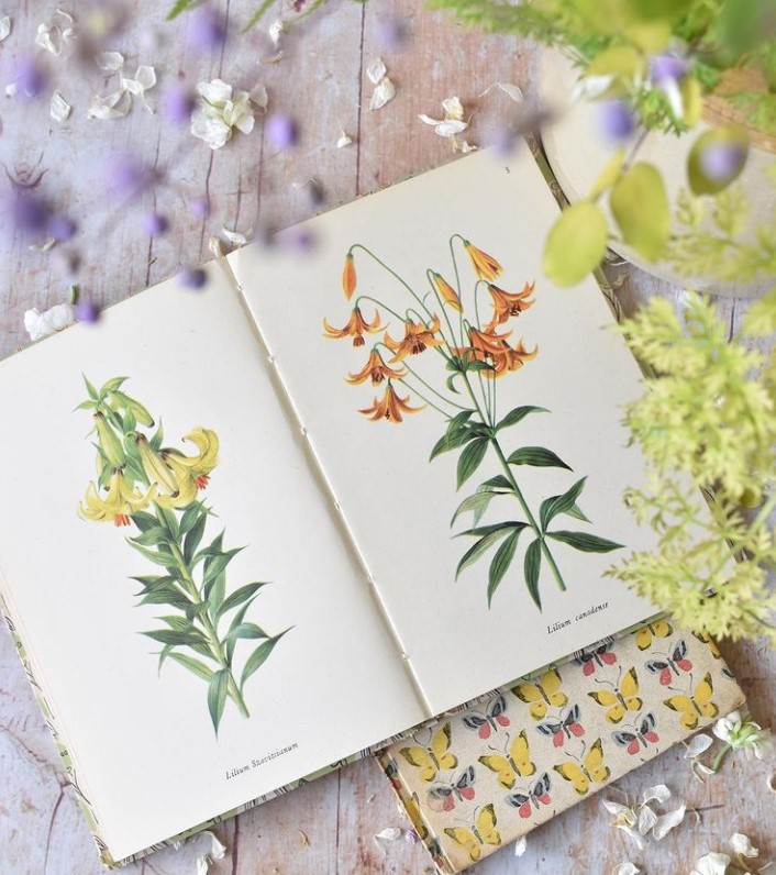 Soulfood Studio tweet media