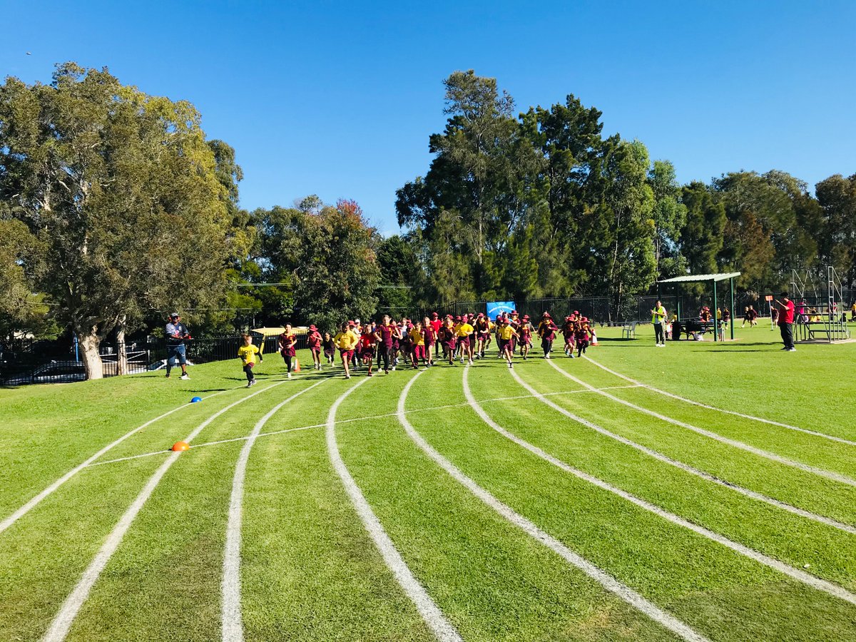 CroydonPublicSchool tweet media