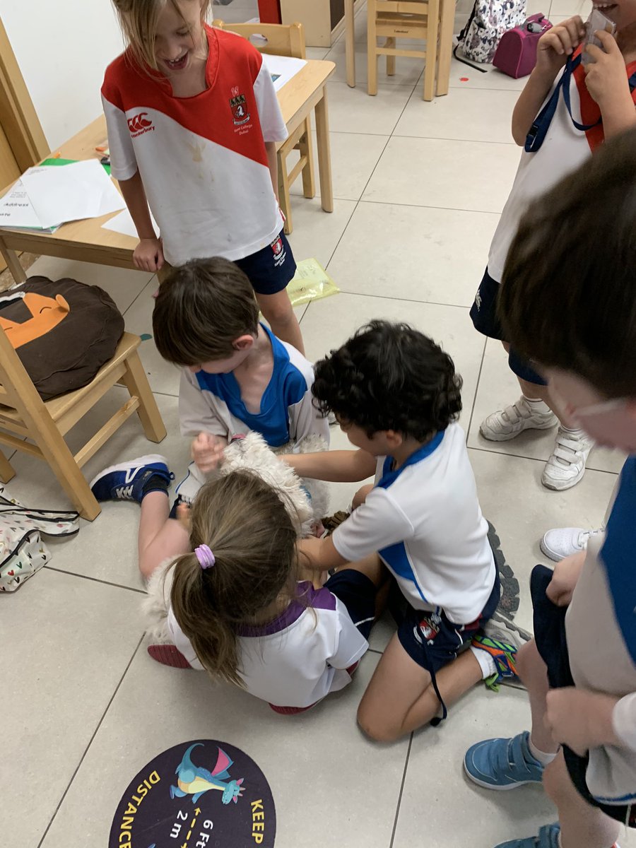 Year 1a loved their visit from Marshall who is one of our well being dogs in school. I think it is safe to say they all have a new best friend 🐶 @KentCollegeDXB <a href="/KCD_Year1/">Year 1 @ Kent College Dubai</a>