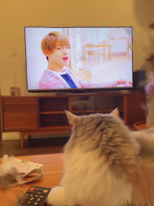 アスファルトに咲いてる花好き 雨上がりの虹好き ファッション対決で最下位のジャニーズ好き