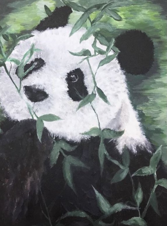 Donna Fiore tweet media