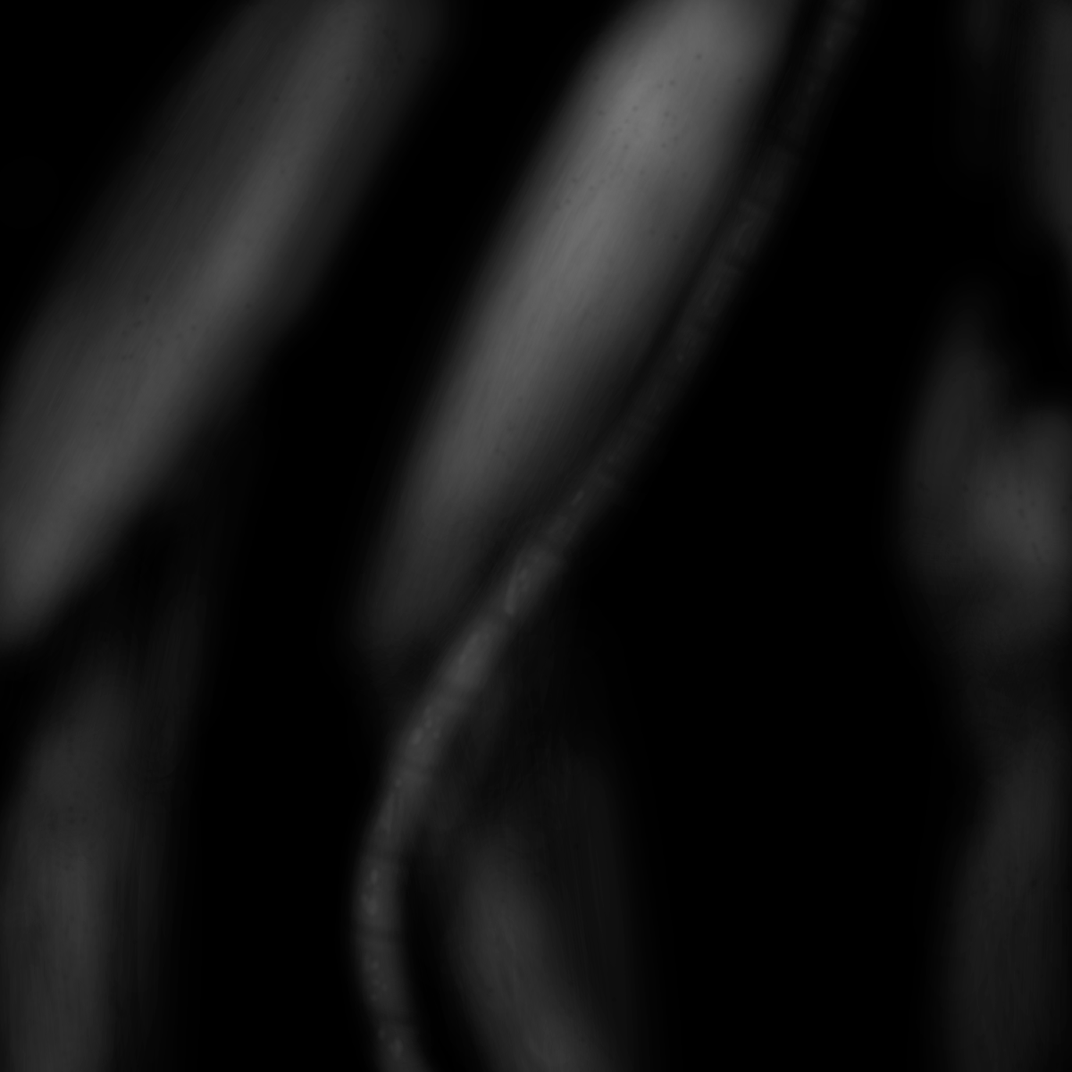 lymbyx's tweet photo. >SYS:/ node_004 --> OPEN

::Description: "WRAPPED" https://t.co/tl2yeDlJts