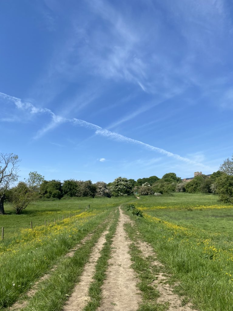 HumanisticOnli1's tweet photo. Meeting cancelled this morning due to tech failure. Happily the real world was still available #thegreatoutdoors #natureisalwaysonline #runner #fullembodiedexperiences #humanisticoffline https://t.co/gjXFeTbeB9