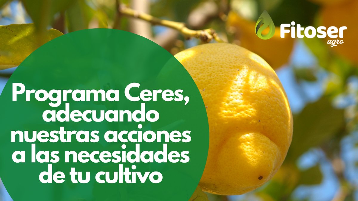 FitoserA's tweet photo. Integrar los tres elementos de la explotación nos permite obtener resultados para adecuar nuestras acciones y criterios de actuación a las necesidades de tu #cultivo. #ProgramaCeres2021 por la #agricultura. ♻🌳 #biocontrol #controldeplagas #plagas #cultivo #cítricos https://t.co/P52MUHiCAI
