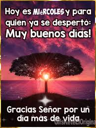 GDP_Tachira's tweet photo. Buenos Días queridos Internautas mis deseos de hoy para Ustedes que Dios Todopoderoso me los mantenga con mucha Salud y me les dé conciencia para que estén pendiente de Cuidarse, es una cadena si tú te cuidas nos cuidas a todos, tu Salud mi Salud. https://t.co/aMXUDCBE6t