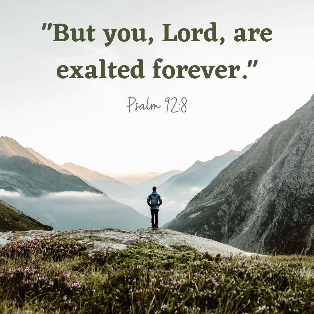 DennistounBC's tweet photo. What great truth to rest in today. Our Lord is not only King today, but is eternally reigning over all things. All praise to the One who is exalted forever! https://t.co/CYiADN75Sv