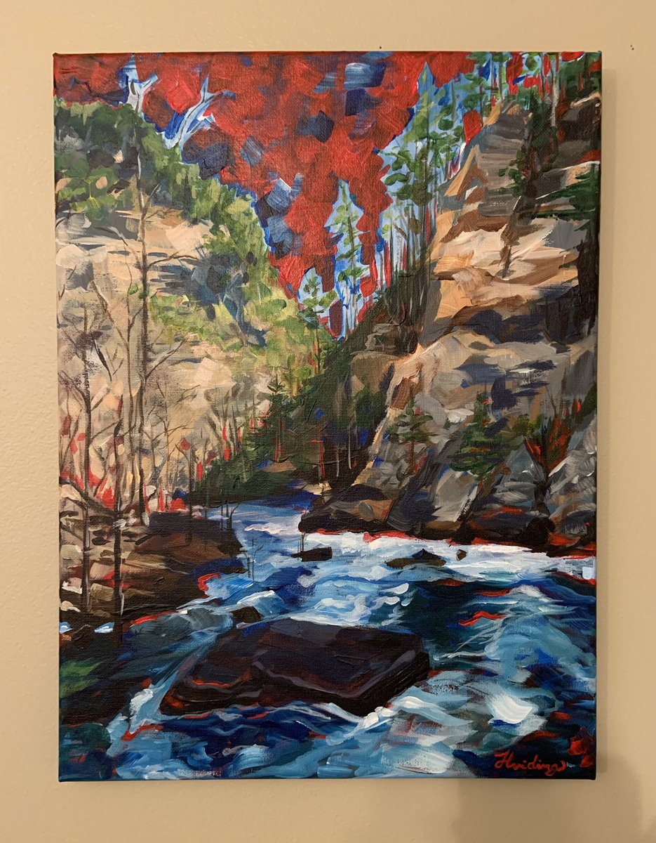 Tallulah Gorge painting- finished!
#art #artists #artist #paint #tallulahgorge #create