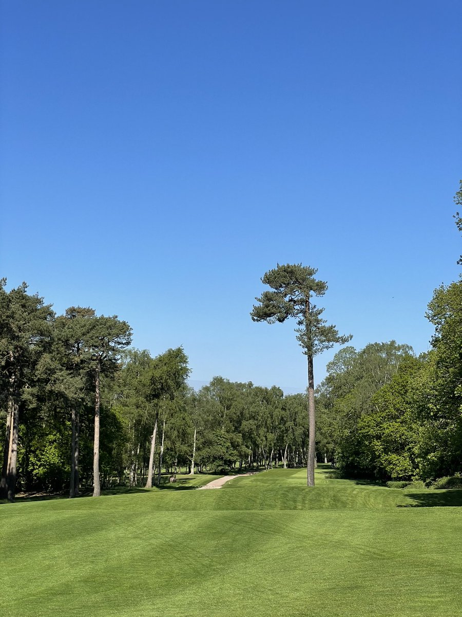 The 8th
The 12th 🌺
The 9th
The 3rd

The warm weather is here! 🌞

#KingsLynnGolfClub
