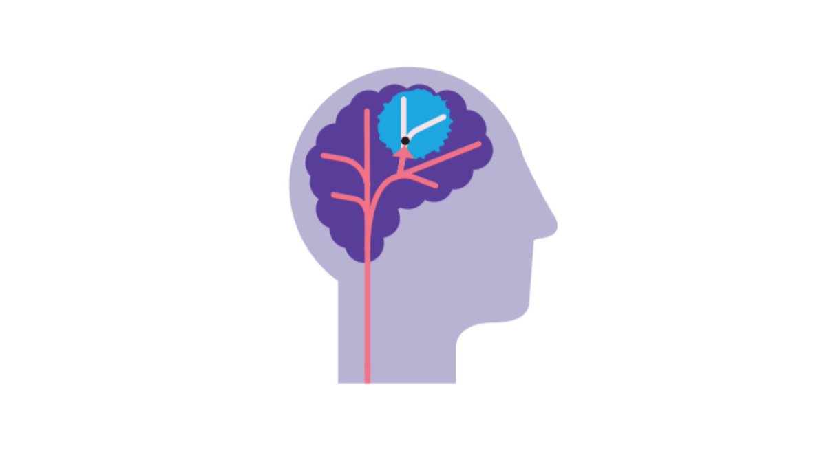 TheStrokeAssoc's tweet photo. Your brain is amazing! It has the ability to re-wire itself, allowing you to improve skills such as walking, talking &amp; using your affected arm. This process is known as neuroplasticity. It begins after a stroke &amp; it can continue for years.

Read more here: https://t.co/CL9BszN36g https://t.co/HMxdj2KAbK