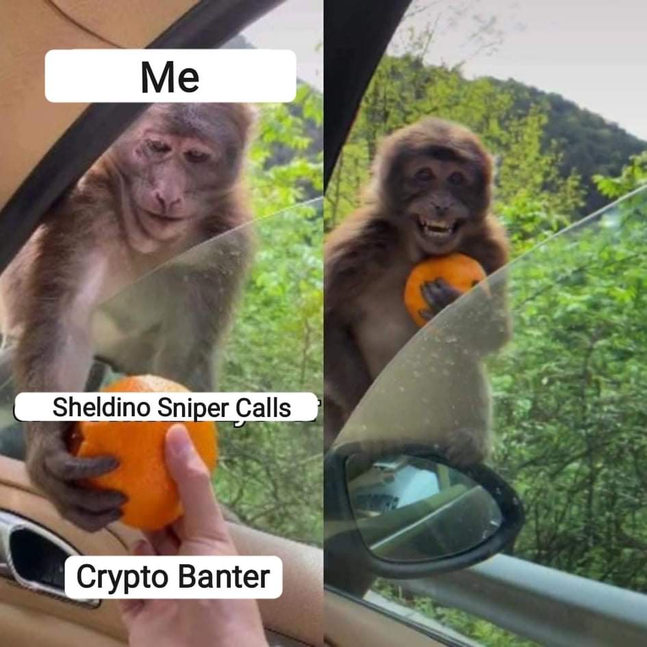 Puhoy4's tweet photo. @Freds_Head This is pretyy much how it be :D https://t.co/q1DVmvlAPF