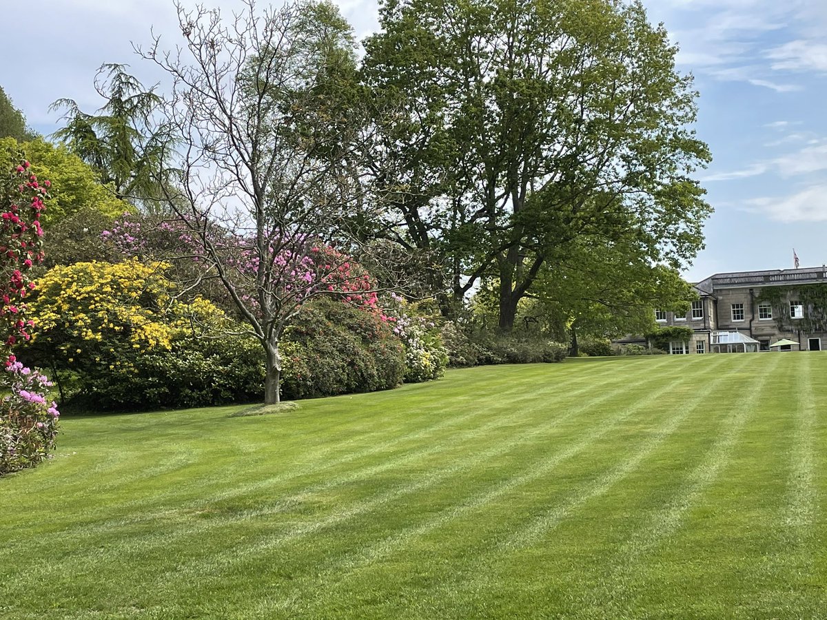 AndiSmiler's tweet photo. Up and Down the Lawns with the @iseki_uk SXG323 which is a Dream to use. #thickgrass but 323 not missing a beat! https://t.co/OFD9QevRDF