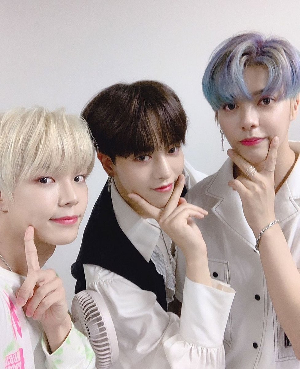 Legendary Selcas tweet media