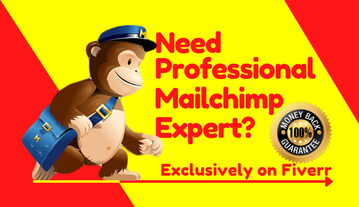 webdevrajib's tweet photo. 60% OFF for next 15days - I will create mailchimp email template, setup email campaign
HIRE ME:https://t.co/2NQkqXV4Jz
#mailchimp #mailchimpTemplate #emailTemplate #mailchimpNewsletter #emailCampaign #mailchimpAutomation #emailMarketing #emailAutoresponder #newsletter #automa https://t.co/Jg8xgfPMtt