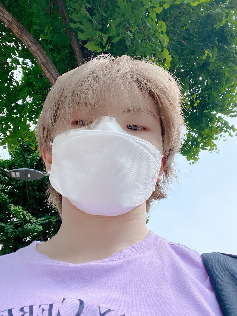 svt_verse's tweet image. From #우지

#WOOZI: 🌳🌲🍃

#SEVENTEEN #세븐틴 @pledis_17