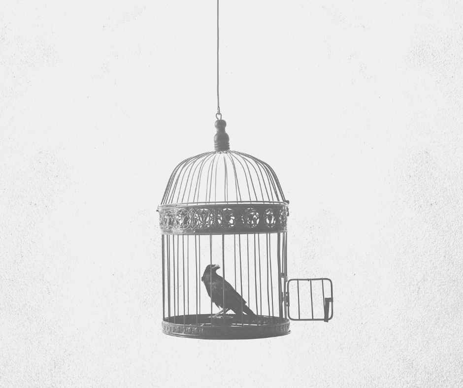 alejodorowsky's tweet photo. Una jaula con la puerta abierta ya no es una jaula, es un límite imaginario. Vivimos con la mente enjaulada en límites imaginarios. https://t.co/K1IhtV8reM