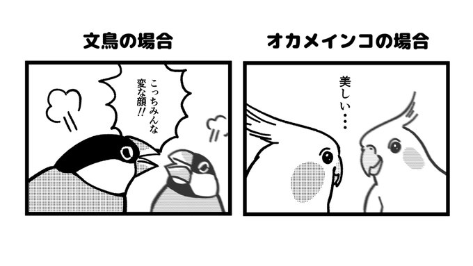 Twoucan たかはら Ppp Tk Twoucan たかはら Ppp Tk