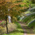 Photo by Castle Hill Estate (@Castlehilldevon)