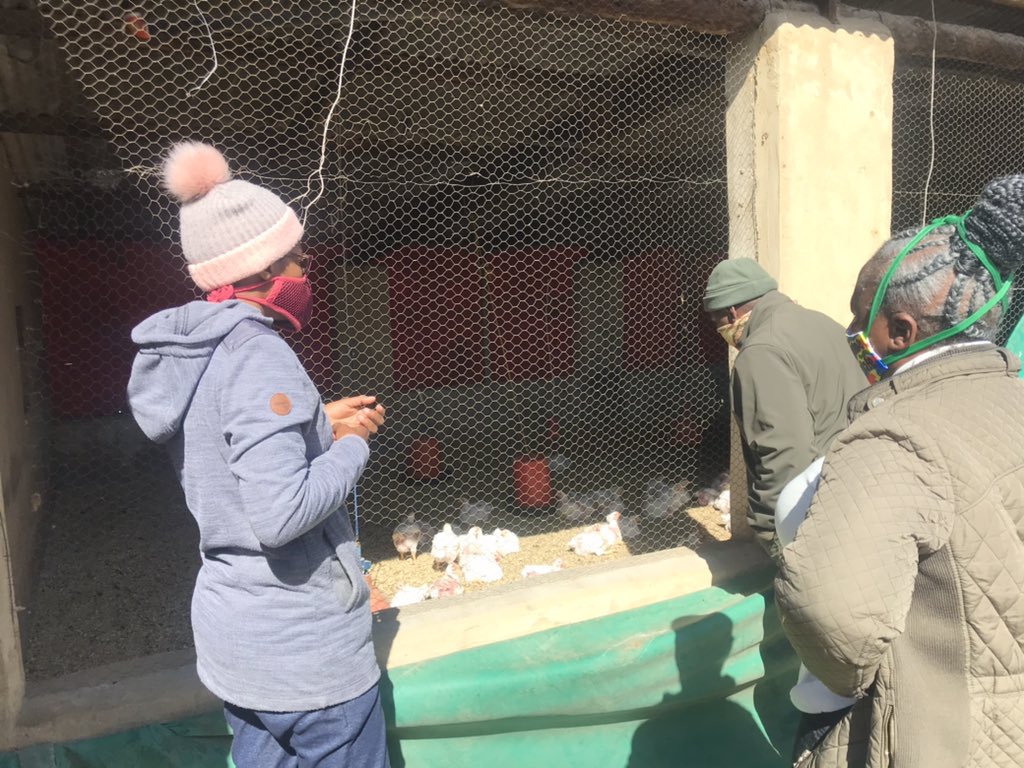 DesboMohono's tweet photo. North West Province Young Farmers, The Future❤️ #YouthMonth2021 #FoodSecurity @nwpg_dard @DALRRDgov_ZA @NWPGOV @ThaboDithakgwe @N0mathembalangz https://t.co/Qer4q85JUq