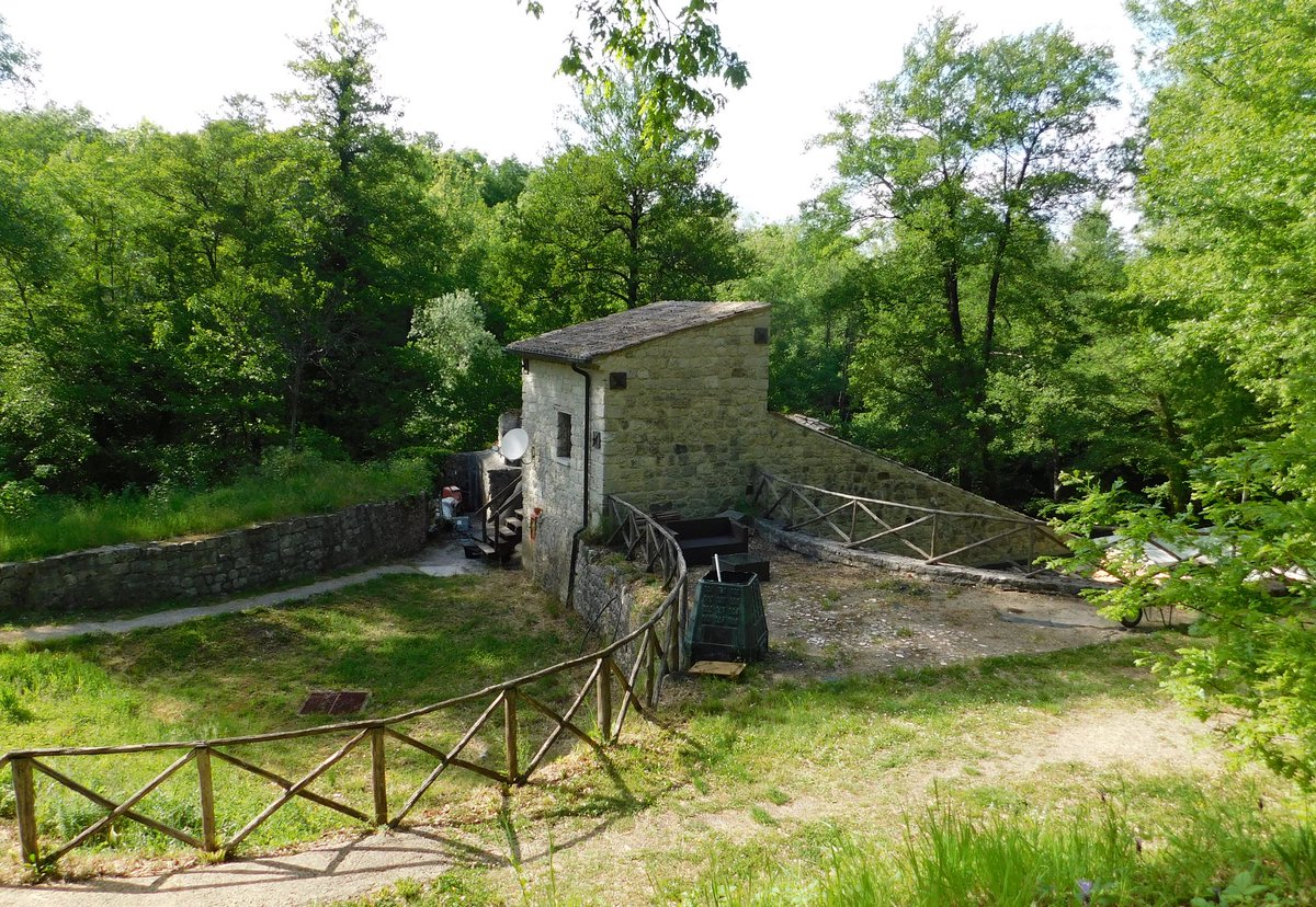 RaffaeleRaimon2's tweet photo. Un mulino ad acqua
da tempo abbandonato
nel verde d'un bosco irpino https://t.co/icyOzLCngp
