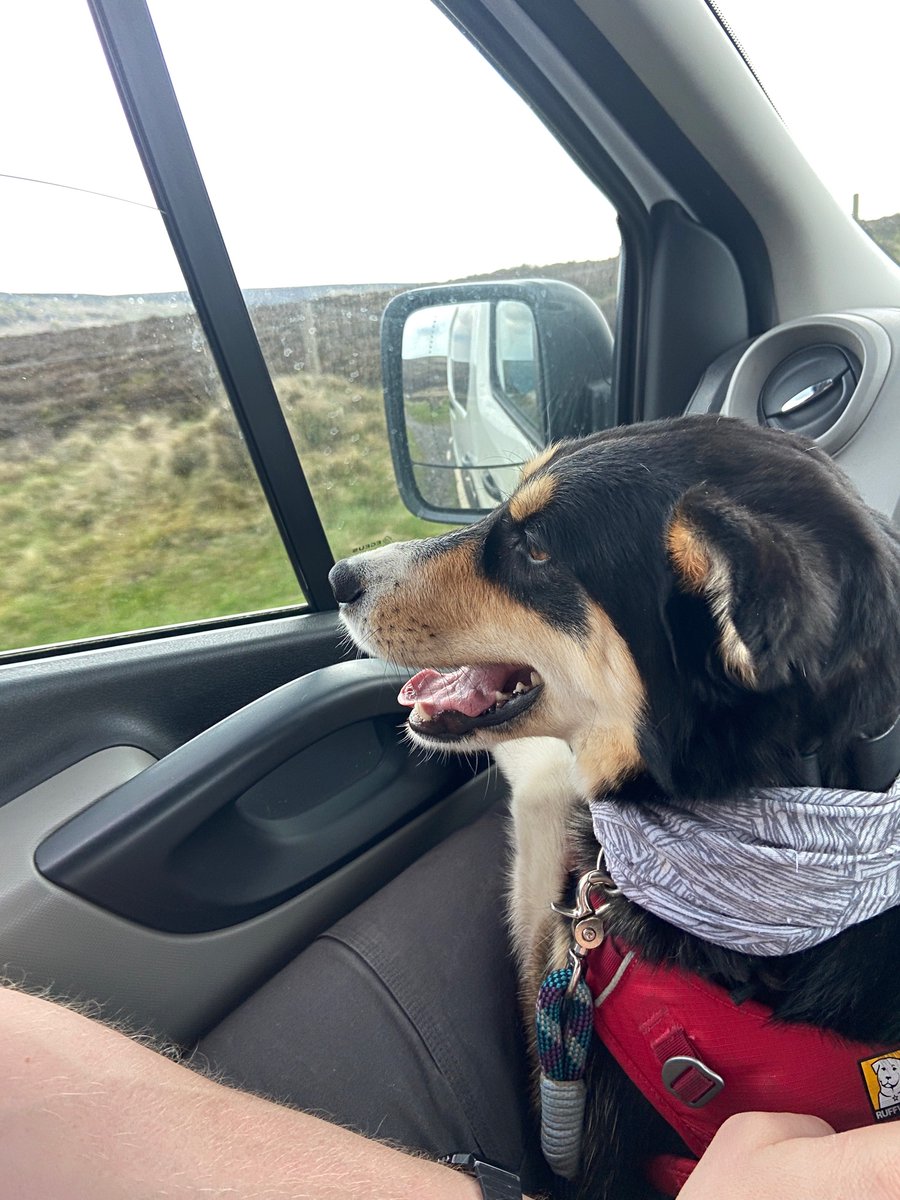 Kate Lamb tweet media