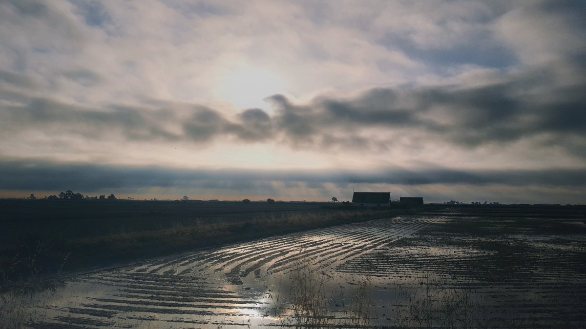 Amposta❤
<a href="/aria_meteo/">Ariadna Corominas</a> 
<a href="/gemmapuigf/">Gemma Puig Feliu</a>  
@turismelarapita <a href="/Canal21Ebre/">Canal 21 Ebre</a> 
@eltempsTV3 #eltempstv3
<a href="/javioru/">Javi Martinez</a> <a href="/ARAmeteo/">ARA Méteo</a> <a href="/tiempobrasero/">Tutiempo</a>
<a href="/aquilatierratve/">Aquí la Tierra</a> 
<a href="/TiempoEnEspana/">El Tiempo en España</a>
<a href="/ElTiempoA3/">El Tiempo de Antena 3</a> @canal21ebre
<a href="/SoniaPapell/">Sònia Papell Caimons</a>  
<a href="/eltiempoGCM/">El Tiempo GCM</a> <a href="/el_tiempohoy/">El Tiempo Hoy</a> 
<a href="/apuntoratge/">À Punt Oratge</a> 
<a href="/jjanue/">Jofre Janué @jjanue.bsky.social</a>
<a href="/enricagud/">enric agud 🌕</a>
