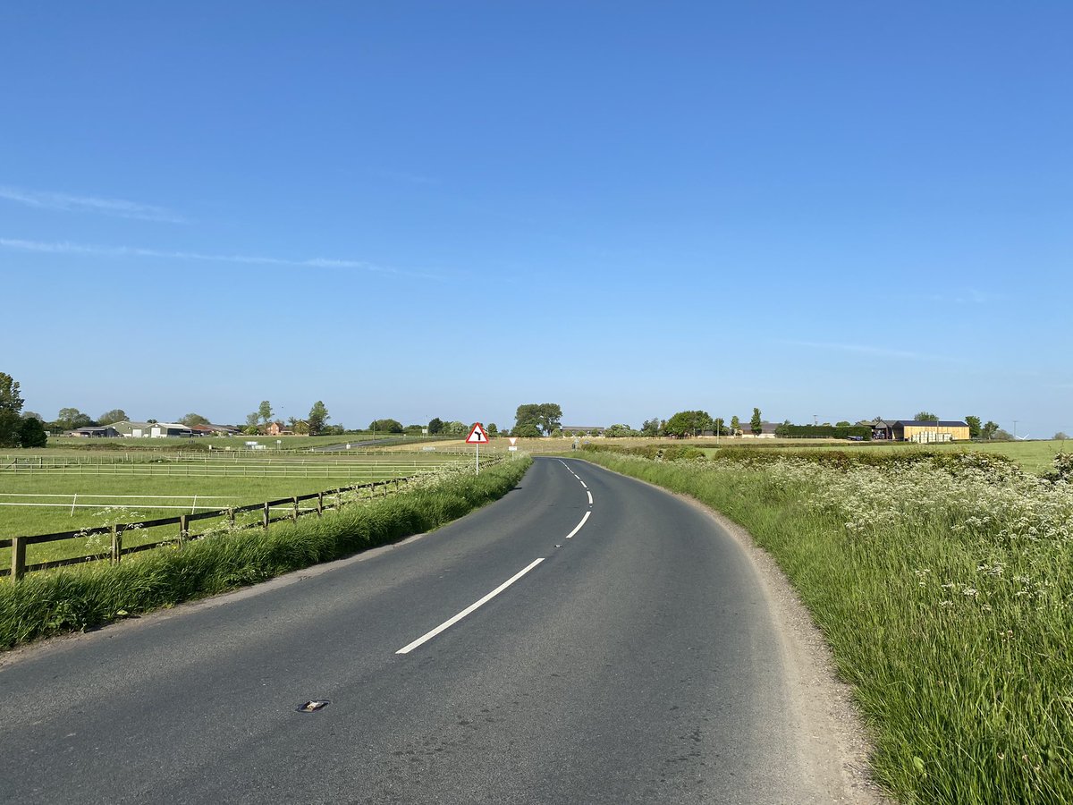 Matt Dass tweet media