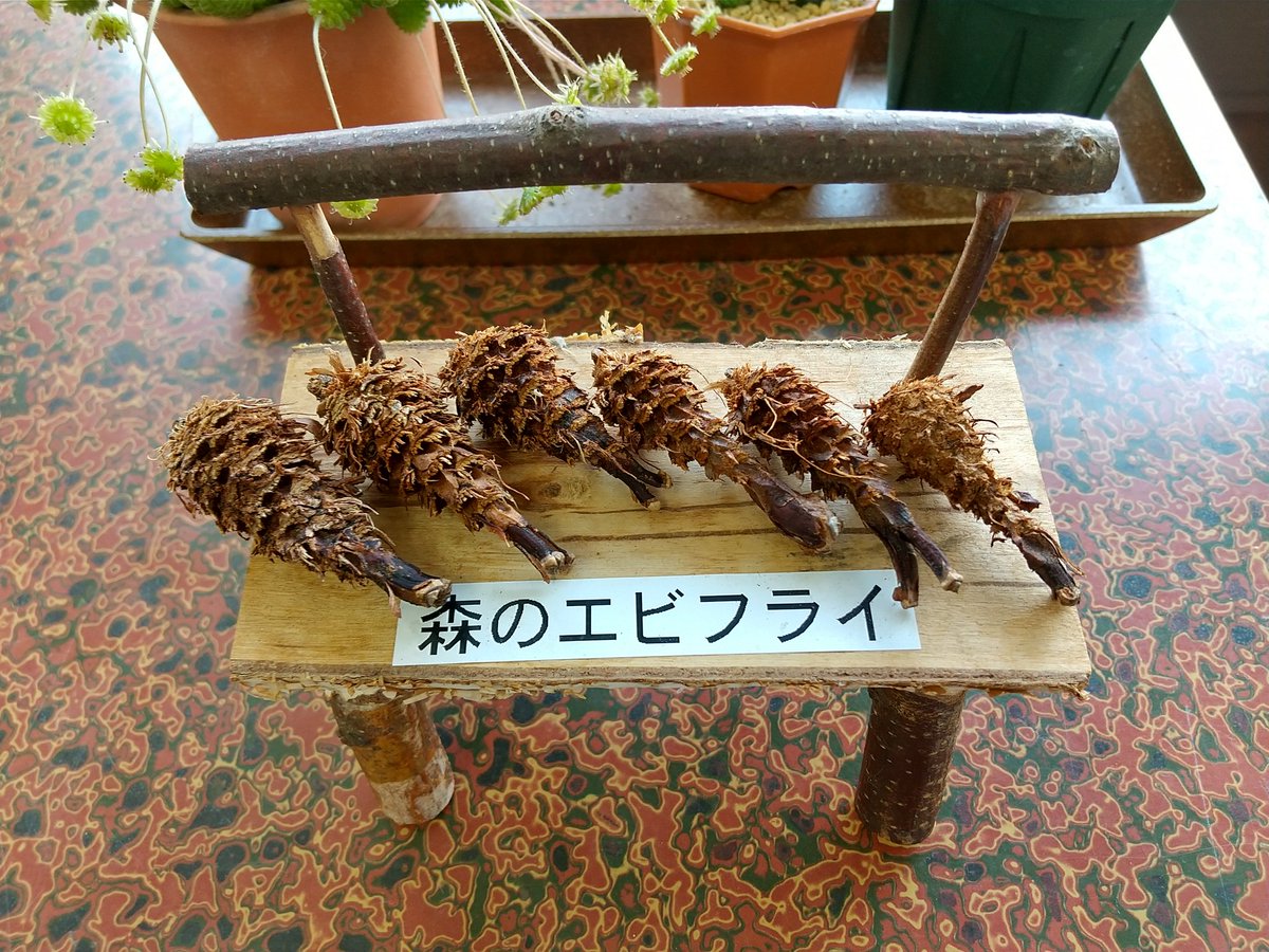 これからの季節 森にはエビフライが落ちている なぜ これに感動してる人は ゴールデンカムイ 読んでる Togetter