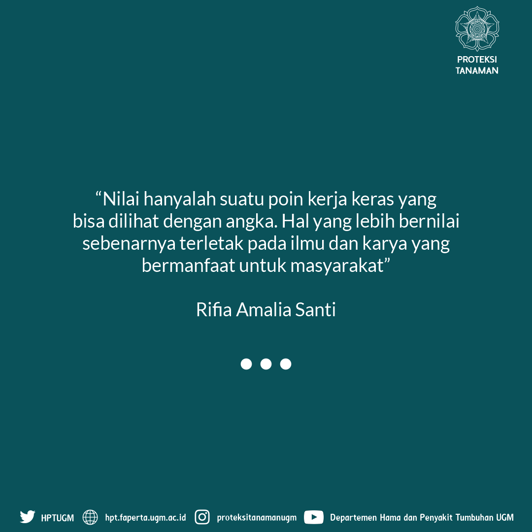 HPTUGM's tweet photo. WISUDAWAN TERBAIK

Rifia Amalia Santi sebagai lulusan terbaik Periode III mewakili Fakultas Pertanian menyampaikan kesannya selama berkuliah di UGM terutama selama berkuliah di Jurusan HPT. Kak Rifia mengatakan bahwa banyak wawasan yang dia dapatkan selama berkuliah di HPT. https://t.co/7C0w0Kt07l
