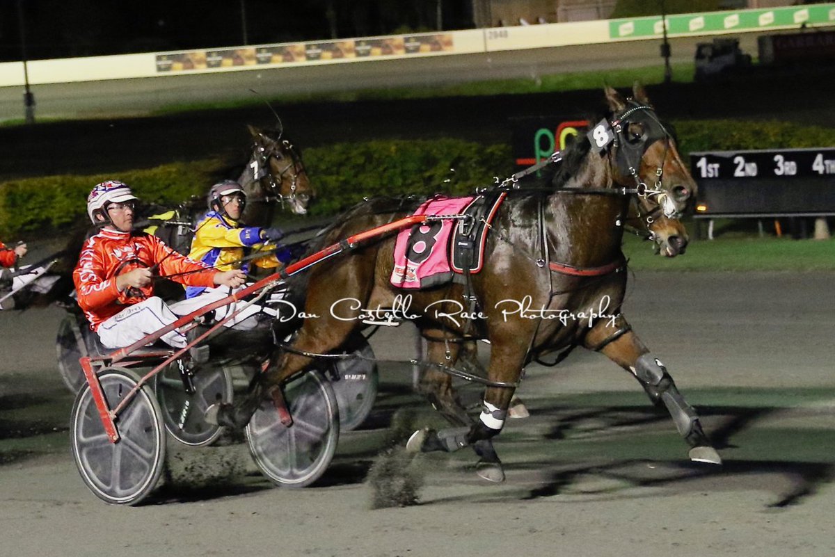 Shes Miss Devine makes it back to back wins taking the 1st @RedcliffeHRC with Nathan Dawson for trainer <a href="/DwyerGraham/">Graham Dwyer</a>