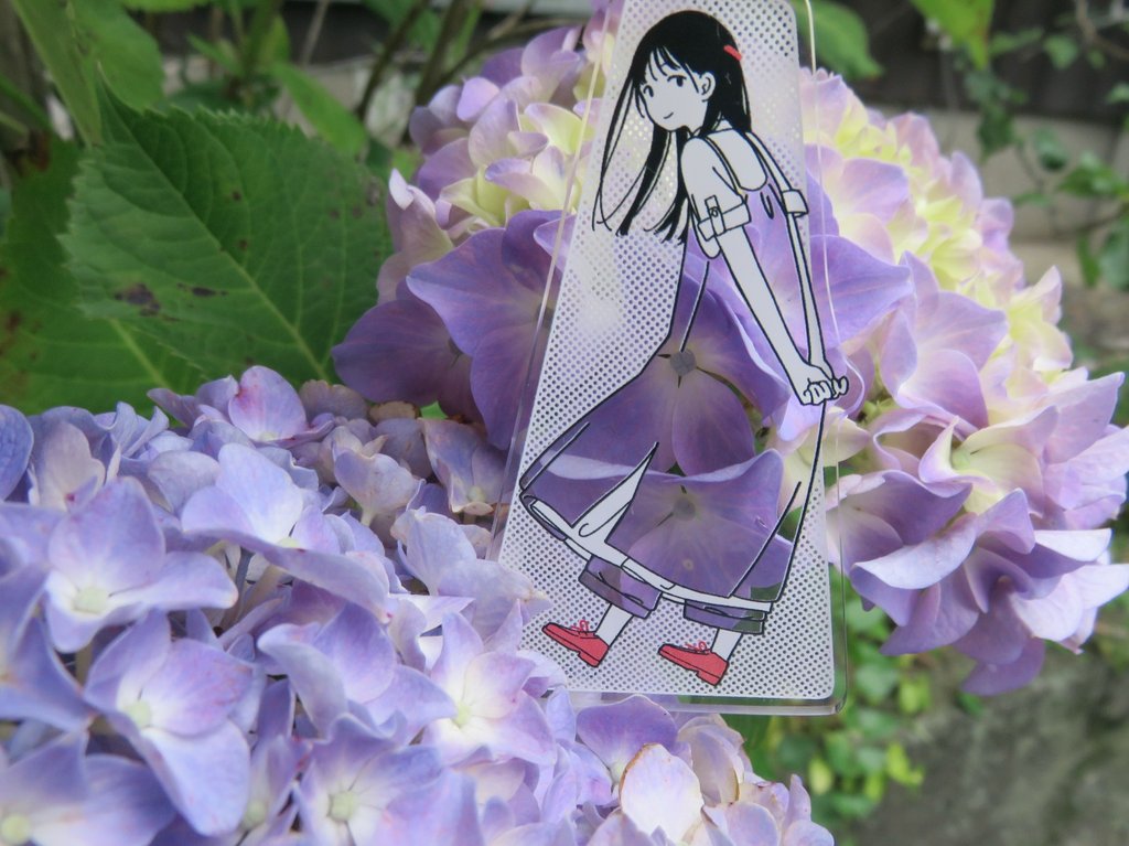 Romi お散歩は季節をまとって 久々のお散歩ちゃんは ひなたちゃん 紫陽花の花言葉は 移り気 冷酷 また 集真藍 あづさあい 藍色が集まる が花の名の由来らしく 家族 や 団らん の意味もあるそう お散歩は季節をまとっ