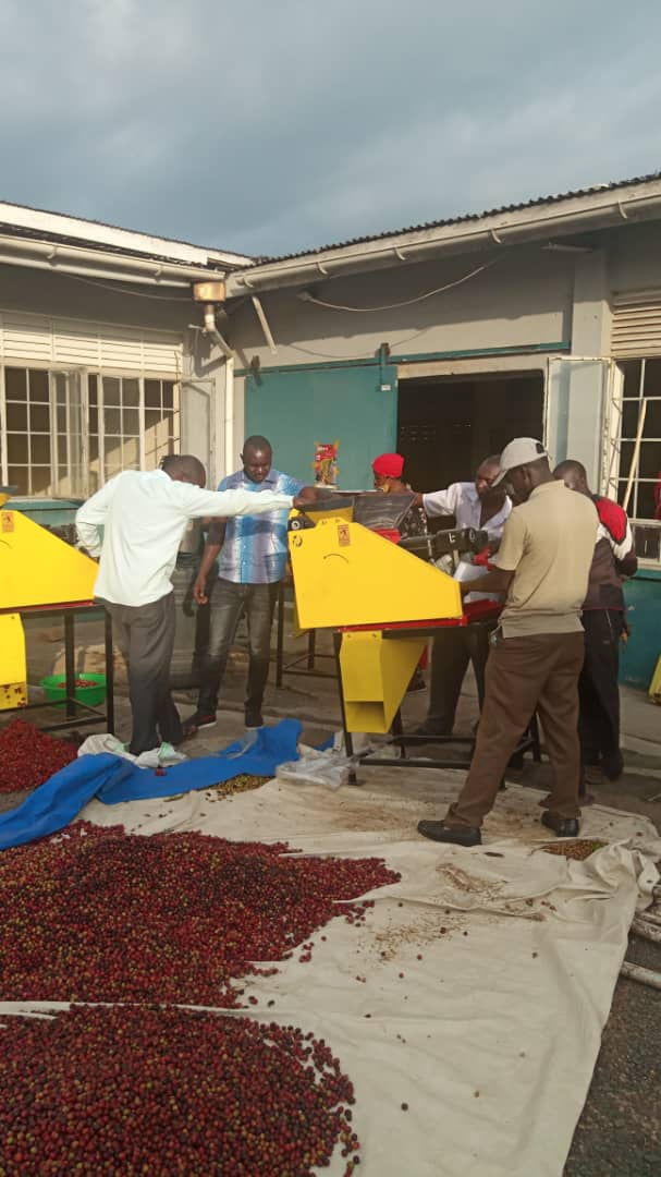 Mt Elgon Agroforestry Communities Coop Ltd tweet media