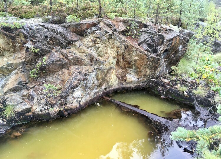 Liam_Geochem's tweet image. I’m #TeamSulfur for the #elementcup. Couple of my favourite field locations are very sulphuric.. Kisgruva sulphur mine in Kongsberg, Norway, an area rich in native sulphur, silver, and my old pals tellurium and selenium