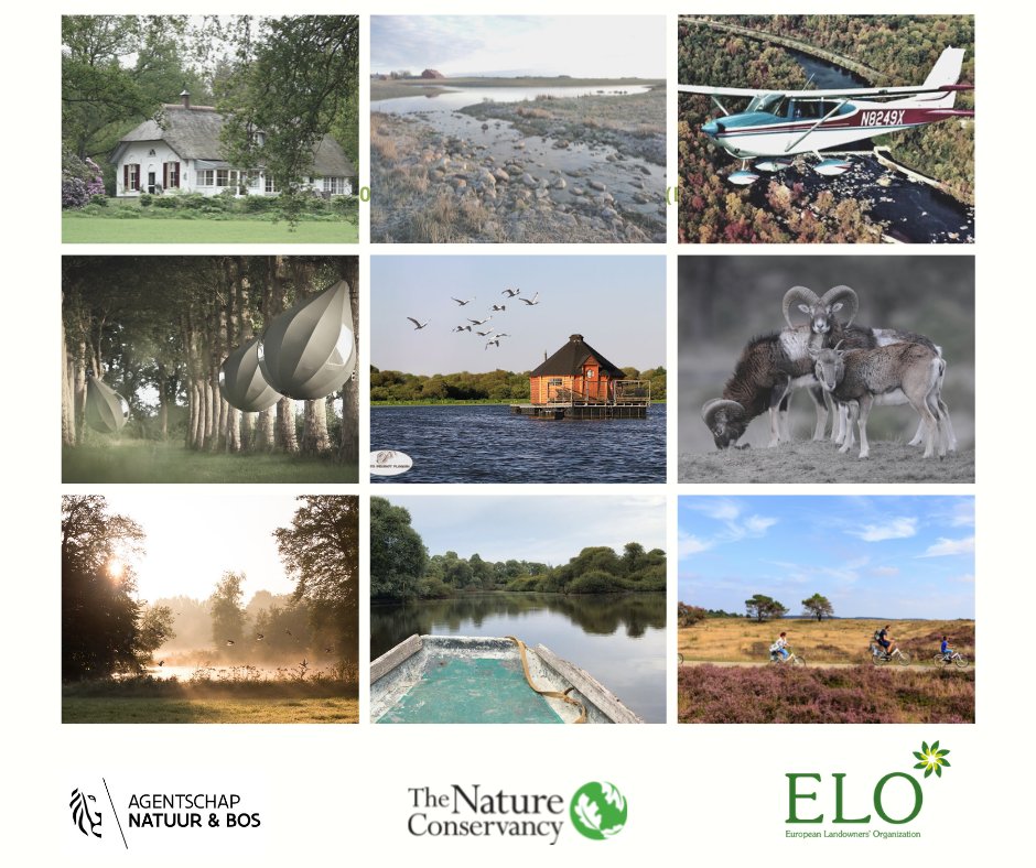 LIFEprojectLIFE's tweet photo. Experience for yourself how private land conservation is put into practice. In J-5, join us and try to win a trip to a hut on a lake, a tree house, a private flight over the NATO, and much more https://t.co/yqOXe8dbuY
#EUgreenweek2021 https://t.co/mCj3s1TK9C