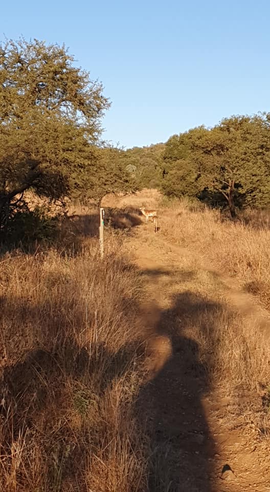 B'sorah Adventures tweet media