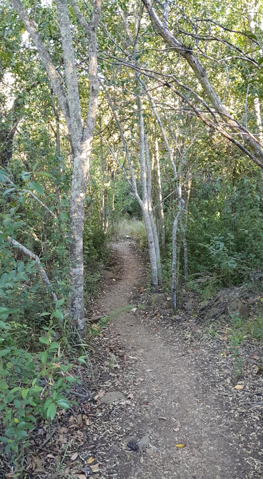 B'sorah Adventures tweet media