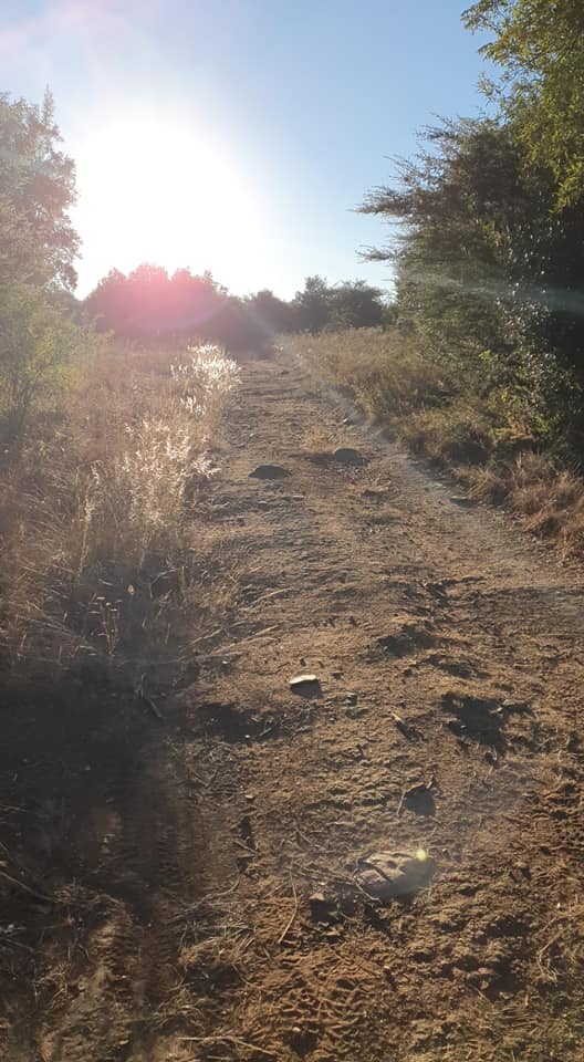 B'sorah Adventures tweet media