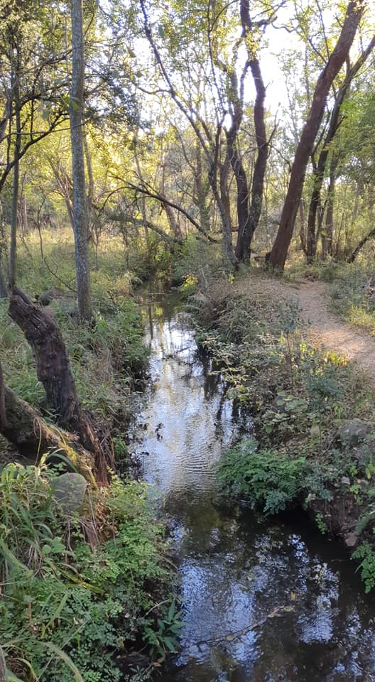 B'sorah Adventures tweet media