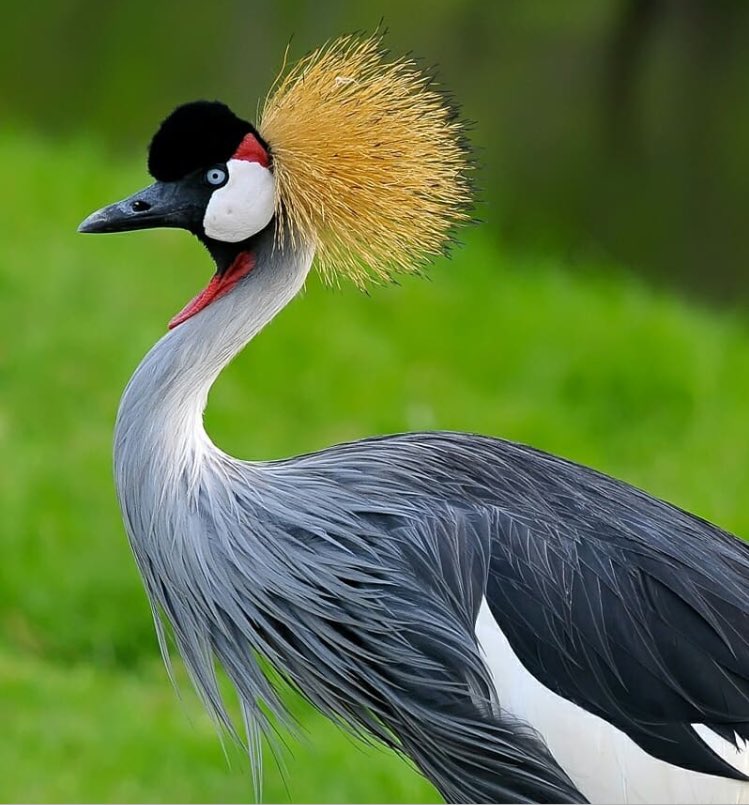 Fizeulx's tweet image. Give yourself time. #wednesdaythought