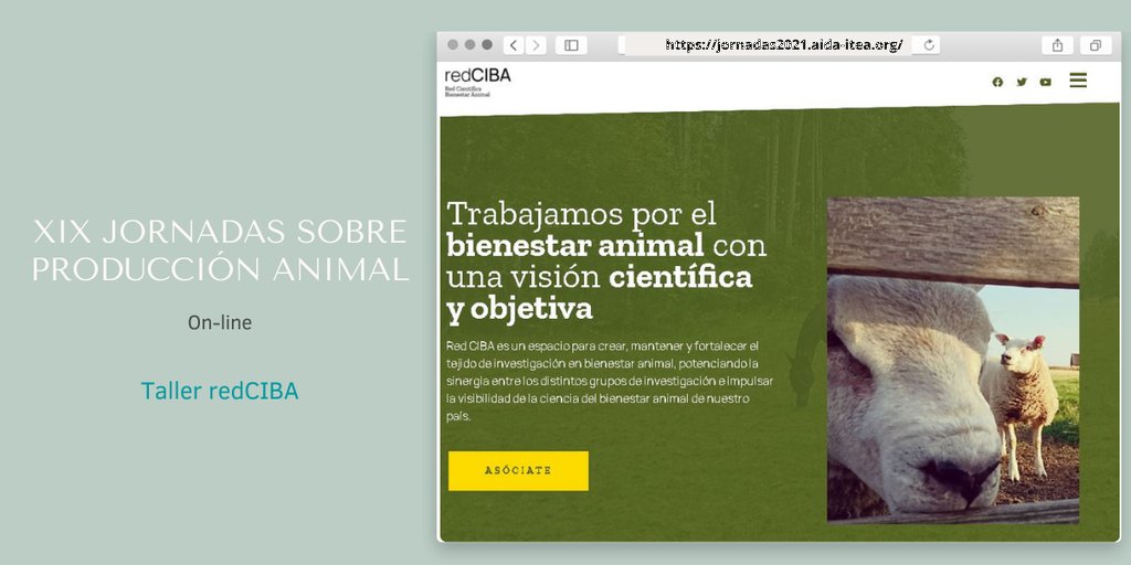 AIDA_ITEA's tweet photo. Buenos días, hoy volvemos con las sesiones de #JornadasAIDA2021.

A las 10 tendremos una novedad en nuestras Jornadas, la #RedCIBA ha organizado un taller de presentación de la red con metodología participativa para recoger perspectivas y experiencias. https://t.co/GwIFACrJok