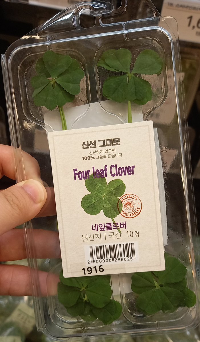 이글알티하면자기최애포카나옴.