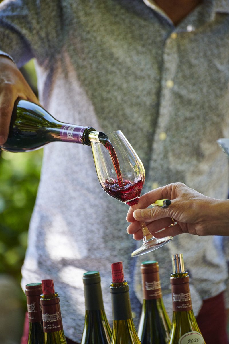 vinsbeaujolais's tweet photo. Ce lundi, #Chénas, cru du #Beaujolais, recevait la presse et les professionnels du #vin 📋 🍷 Au programme : dégustation des cuvées des 20 #vignerons présents dans la cour du restaurant Les Platanes à Chénas 🌳
#Chenas #VinsBeaujolais #CrusBeaujolais #BeaujolaisCrus https://t.co/9if74YNSil