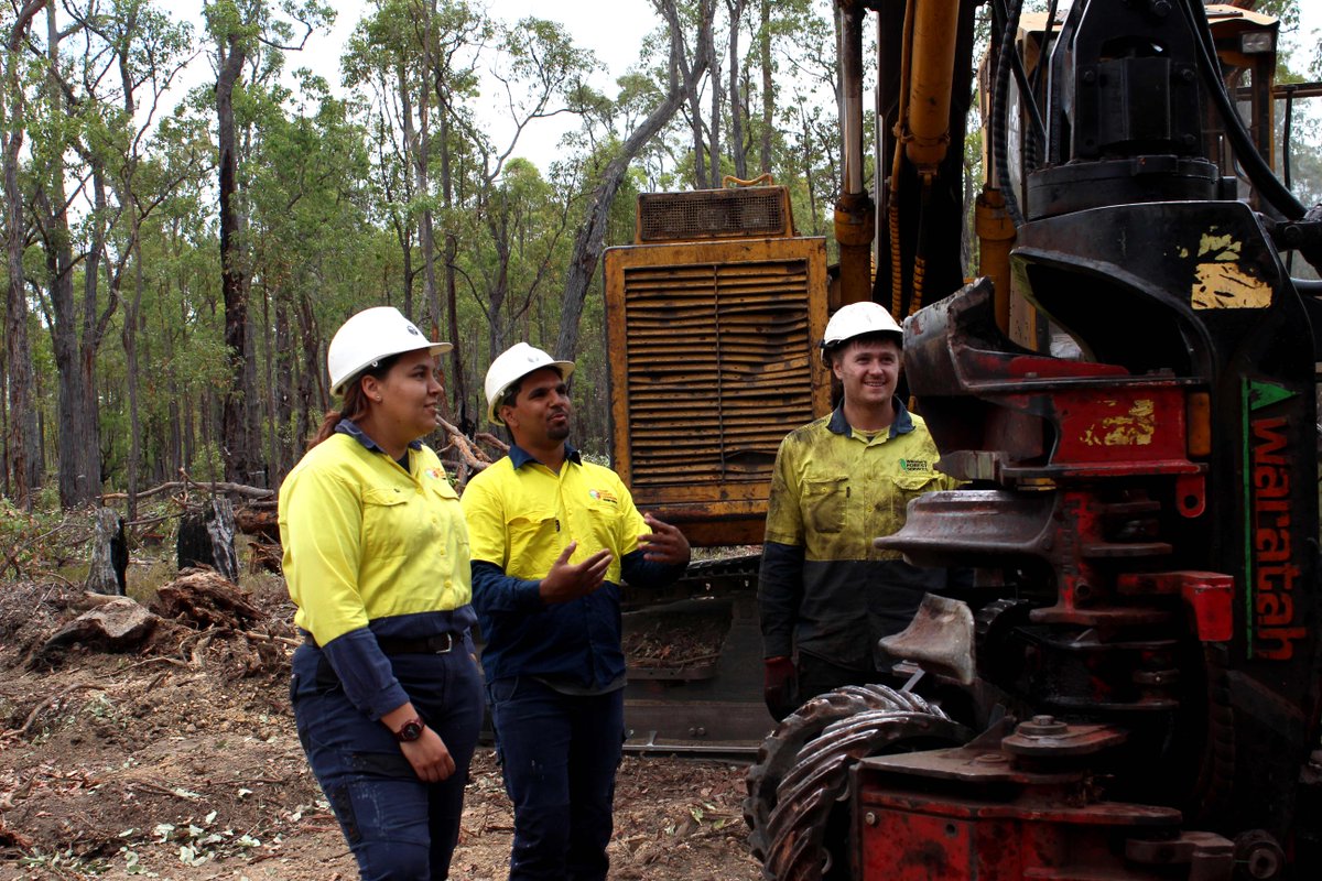 Forest Products Commission tweet media