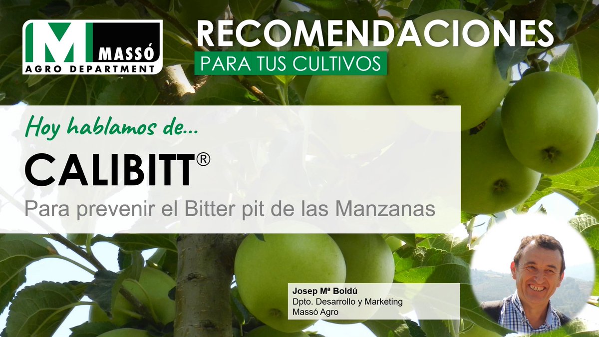 massoagro's tweet photo. En #manzano🍎, para prevenir el bitter pit, se debe aplicar el #calcio de alta eficiencia CALIBITT regularmente hasta cosecha.
🟢¿Sabes qué es el bitter pit y cómo evitarlo con #CALIBITT?
¡Te lo explicamos en el siguiente vídeo🎥!
https://t.co/vs6dJNrX8t https://t.co/uH18YpvdGM