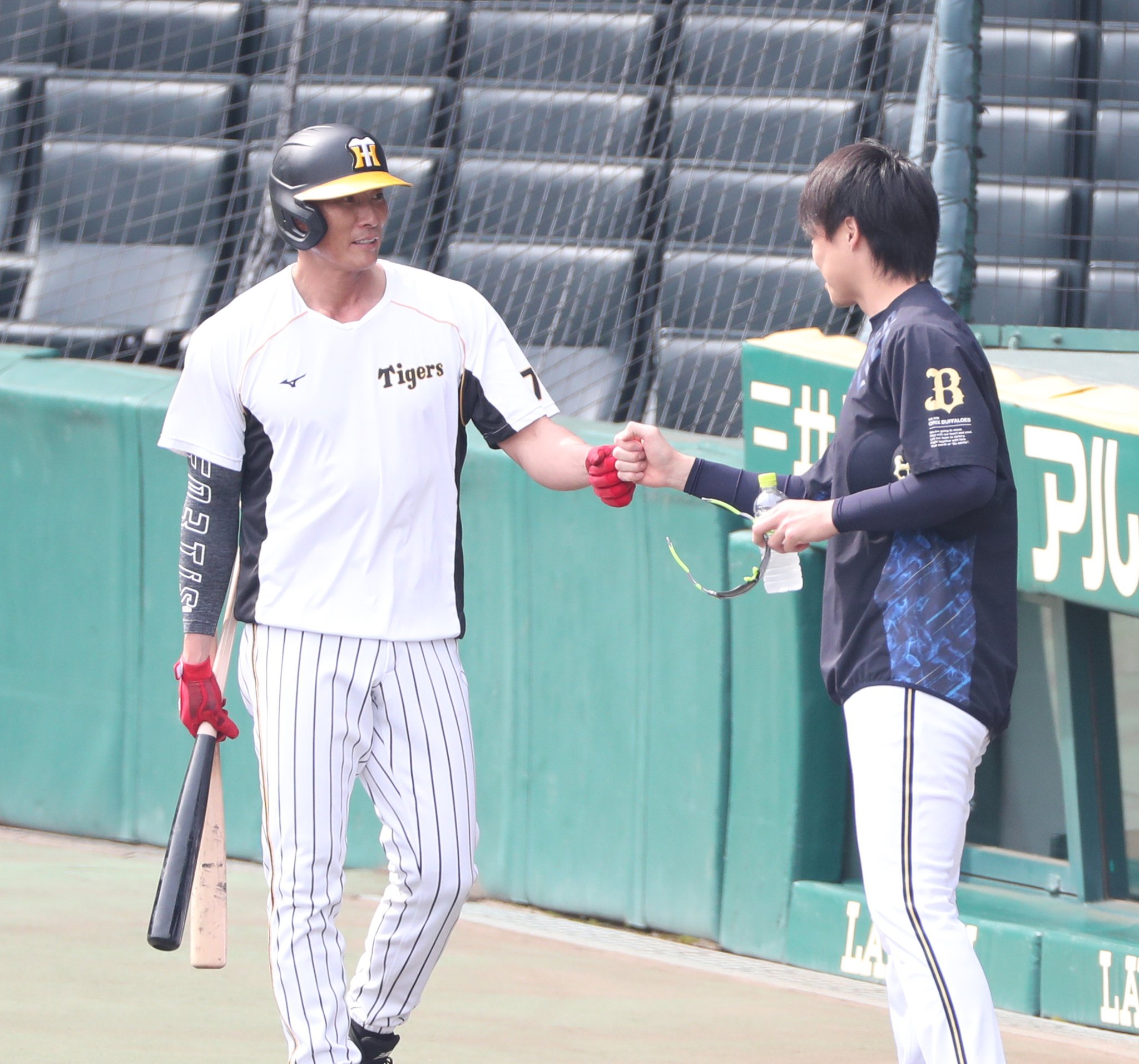 5/31エスコンFAV会員配布 ファイターズ推しペアクッション山崎福也&伏見虎威 5/31エスコンFAV会員配布 ファイターズ推しペアクッション山崎福