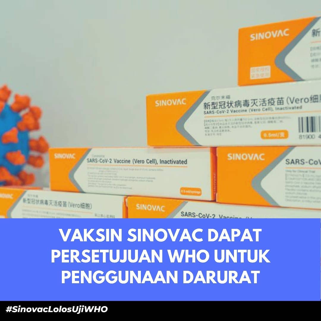 primissimapt's tweet photo. #SinovacLolosUjiWHO https://t.co/mYBJwbVbOH