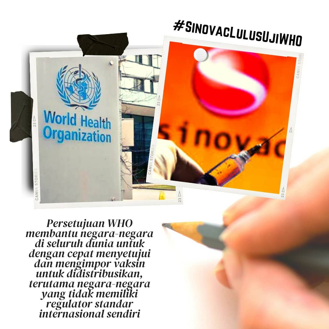 primissimapt's tweet photo. #SinovacLolosUjiWHO https://t.co/mYBJwbVbOH