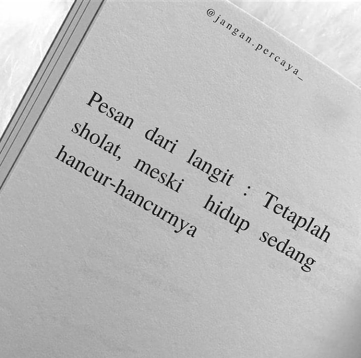 Dialog Lara tweet media