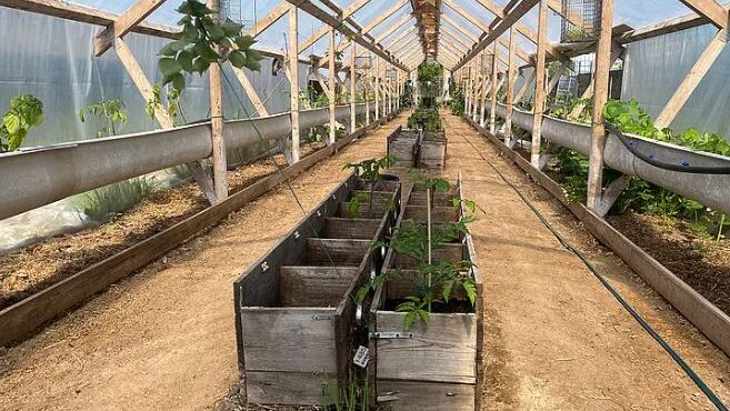 TuAbrigoSuVida_'s tweet photo. Gran ejemplo en #Dinamarca de #reconversión de #granjasdevisones hacia un modelo de arrendamiento de invernaderos para la producción agrícola comunitaria, reciclando las naves utilizadas para explotar #visones, la construcción del techo y las jaulas. https://t.co/xGWiQBZ7P1