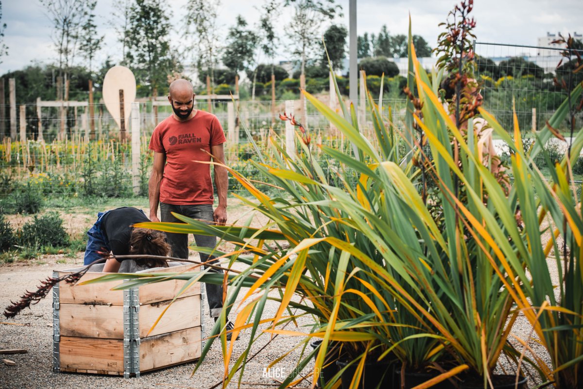 TransfertCo's tweet photo. 🌱 La revanche du vivant 🌴
De nombreuses plantes ont envahi le site de Transfert & Co ainsi que le bon vieux Remorqueur ! Une manière de faire place belle à la nature, de créer une place forte végétale, peut-être même un repaire de biodiversité.
#transfertco #nantes #reze https://t.co/Mfw6UX8dCk