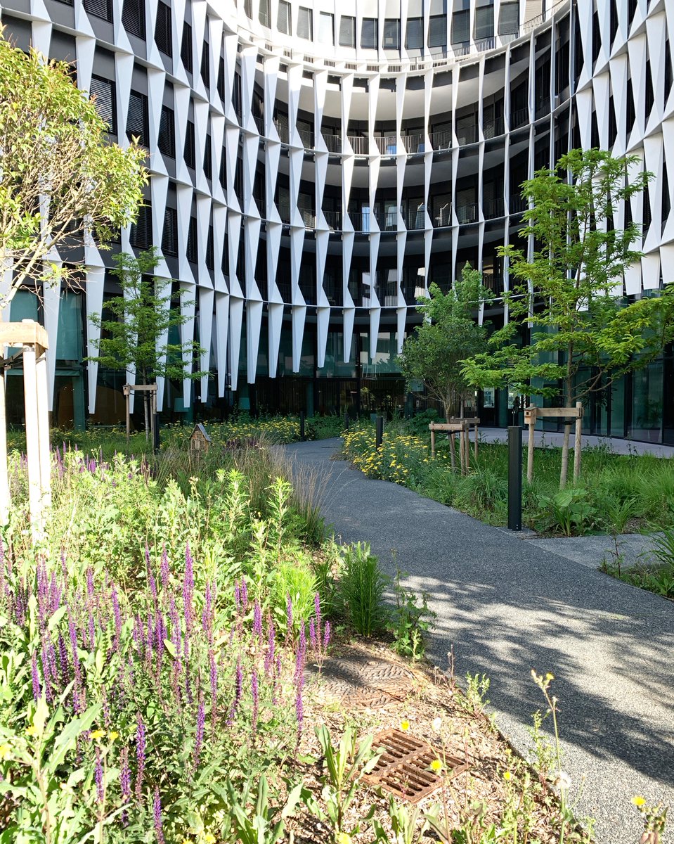 atelierdupont's tweet photo. A @villeurbanne, le nouveau siège d'@opteven 🌿
#teamarchi #capousse https://t.co/QDoLiKxmNG